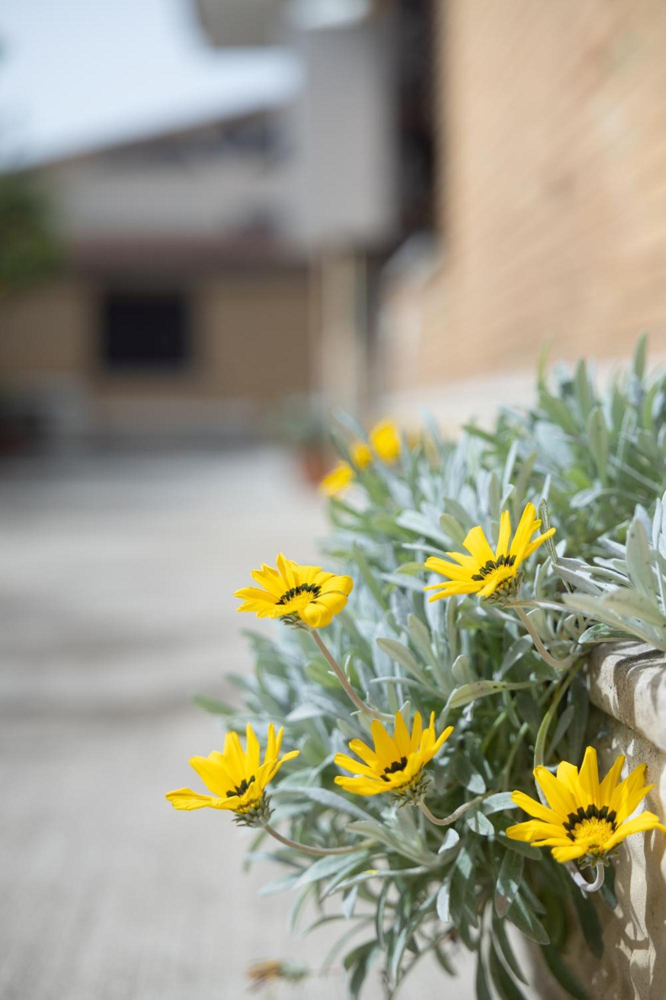 Casa Vacanze Alla Maison Fiumicino Exterior foto